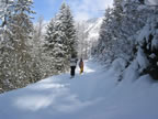 Vallée Blanche avec un guide
