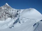 Lyskamm oriental