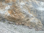 Randonnée sur les traces de dinosaures