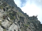 Col Fenêtre