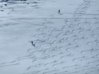 Photos de raids à ski en Oberland Bernois