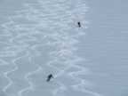 Raids à ski Tirol - Silvretta