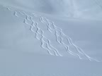 Raids à ski Tirol - Silvretta