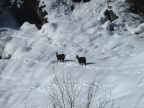 ski de rando initiation dans les Aravis autour de la Giettaz