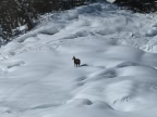 ski de rando initiation dans les Aravis autour de la Giettaz