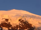 Weissmies 4017 m