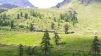 Hoehenweg der Riesen: zwischen Cervino und Monte-Rosa