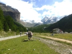 Hoehenweg der Riesen: zwischen Cervino und Monte-Rosa