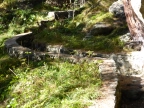 Mont Barbeston - Naturpark Mont-Avic