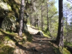 Mont Barbeston - Naturpark Mont-Avic