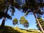 Mont Barbeston - Naturpark Mont-Avic