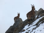 Naturpark Mont-Avic - Wandern mit Alta-Via
