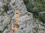 photo de parois des falaises des gorges du Verdon