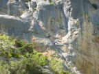 photo de parois des falaises des gorges du Verdon