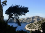 Cap Morgiou depuis Sugiton
