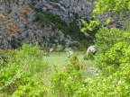 randonnée dans les Gorges et au Pays du Verdon