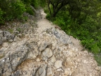 randonnée dans les Gorges et au Pays du Verdon