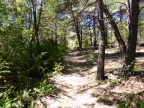 randonnée dans les Gorges et au Pays du Verdon