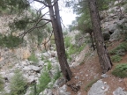 Crète : gorges de Agia Irini - Santa Irene - Sougia