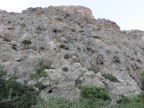 Crète : gorges d'Agiofarango