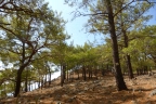 Crète : sentier E4 de Agia Roumeli à Sougia