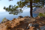 Crète : sentier E4 de Agia Roumeli à Sougia