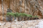 Crète : gorges d'Aradena - Anopoli - Loutro