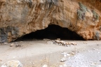 Aradena