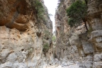 Samaria