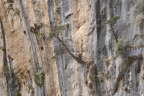 Crète : les gorges de Samaria entre Omalos et Agia Roumeli