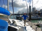 Catamaran la Rochelle île d'Yeu île de Ré