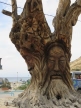 De Lentas à Matala