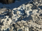 Les glaciers du Mont-Blanc