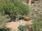 Crète : les Gorges de Zakros