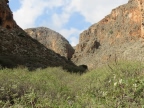 Crète : les Gorges de Zakros