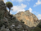 Crète : les Gorges de Zakros