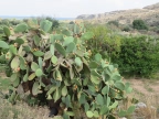 Crète : les Gorges de Zakros