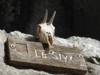 randonnée dans les gorges du Verdon et dans au pays du Verdon