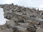 Randonnée au refuge du Carro puis au col du Carro - Bonneval sur Arc - haute Maurienne