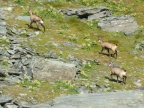 Refuge Dondena - parc du Mont-Avic - vallée d'Aoste