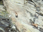 Refuge Dondena - parc du Mont-Avic - vallée d'Aoste