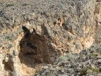 Crète : de Zakros à Tsoutsouras