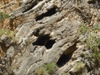 Crète : les gorges de Samaria entre Omalos et Agia Roumeli